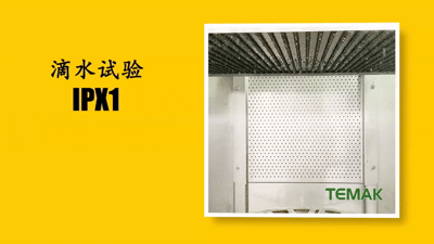 IPX1